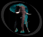 Christian Adventures Africa logo